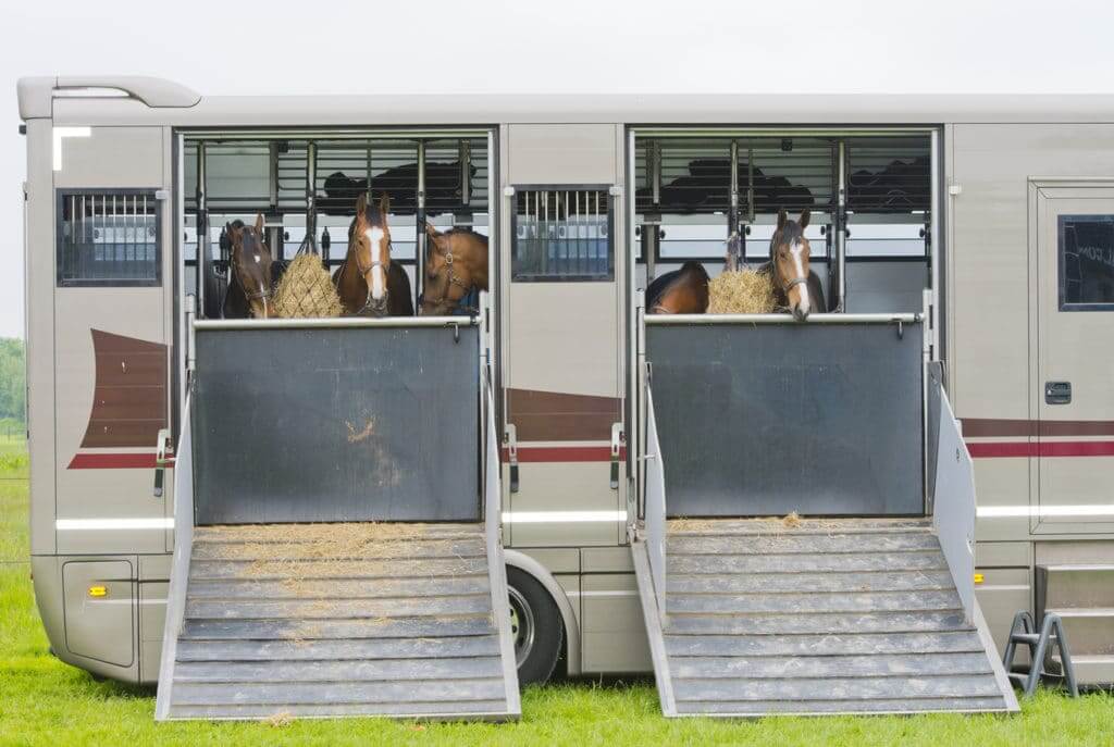 Temporary Horsebox Insurance Tempcover
